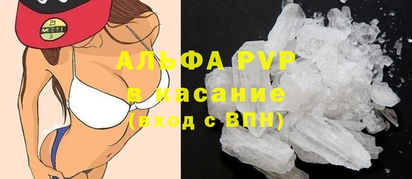 apvp Инта