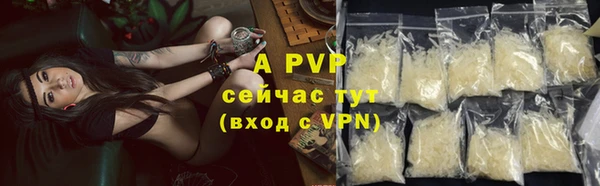 apvp Инта