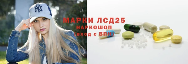 apvp Инта