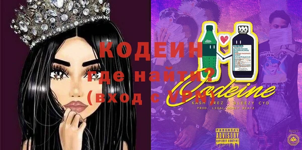 apvp Инта