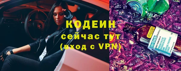 apvp Инта