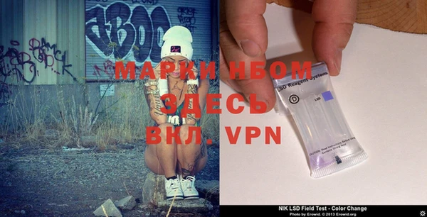 apvp Инта