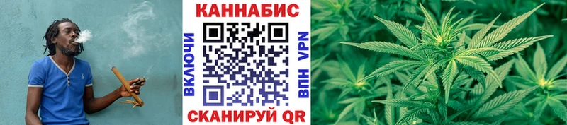 Каннабис план  Купить  Зеленогорск 